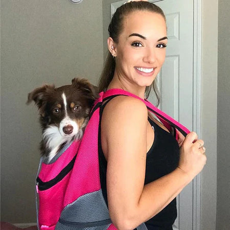 Produtos para Pets